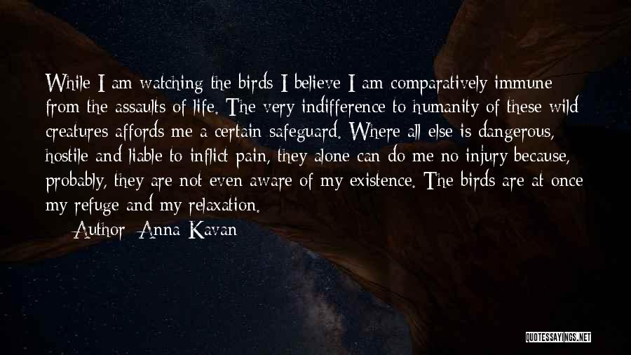 Anna Kavan Quotes: While I Am Watching The Birds I Believe I Am Comparatively Immune From The Assaults Of Life. The Very Indifference