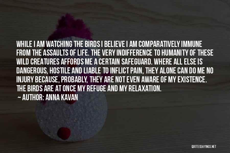 Anna Kavan Quotes: While I Am Watching The Birds I Believe I Am Comparatively Immune From The Assaults Of Life. The Very Indifference