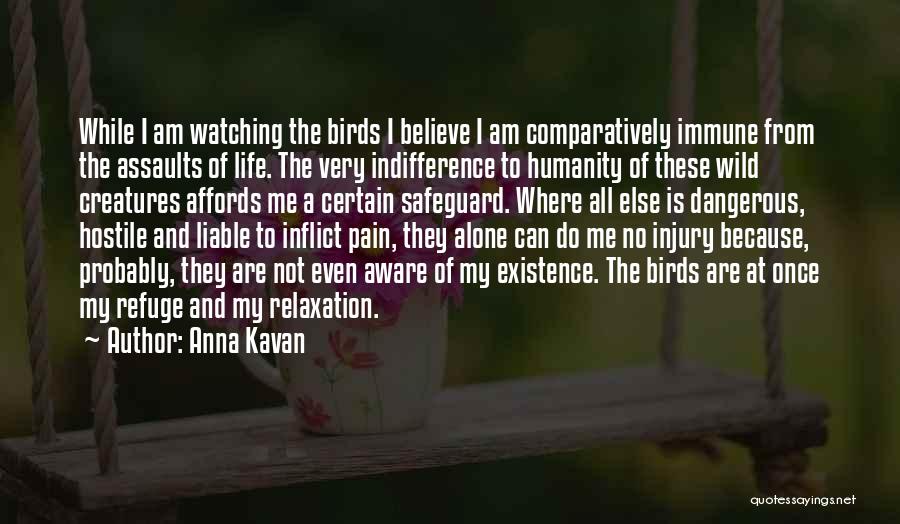 Anna Kavan Quotes: While I Am Watching The Birds I Believe I Am Comparatively Immune From The Assaults Of Life. The Very Indifference