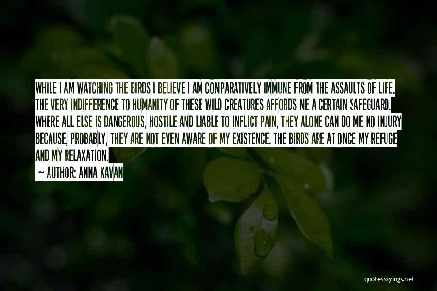 Anna Kavan Quotes: While I Am Watching The Birds I Believe I Am Comparatively Immune From The Assaults Of Life. The Very Indifference