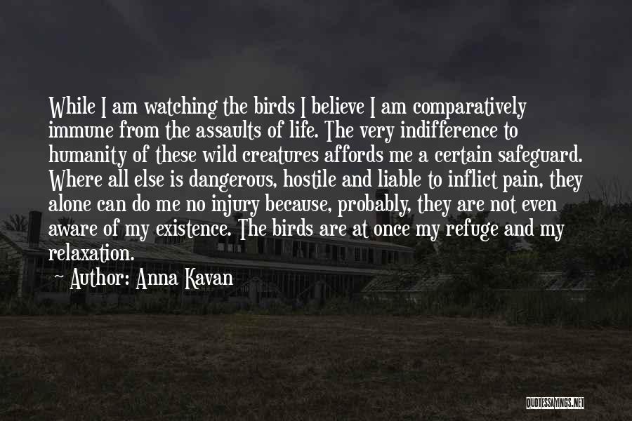 Anna Kavan Quotes: While I Am Watching The Birds I Believe I Am Comparatively Immune From The Assaults Of Life. The Very Indifference