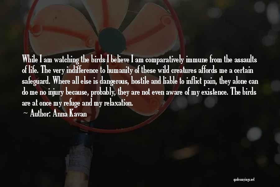 Anna Kavan Quotes: While I Am Watching The Birds I Believe I Am Comparatively Immune From The Assaults Of Life. The Very Indifference