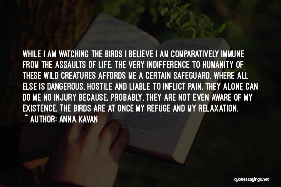 Anna Kavan Quotes: While I Am Watching The Birds I Believe I Am Comparatively Immune From The Assaults Of Life. The Very Indifference