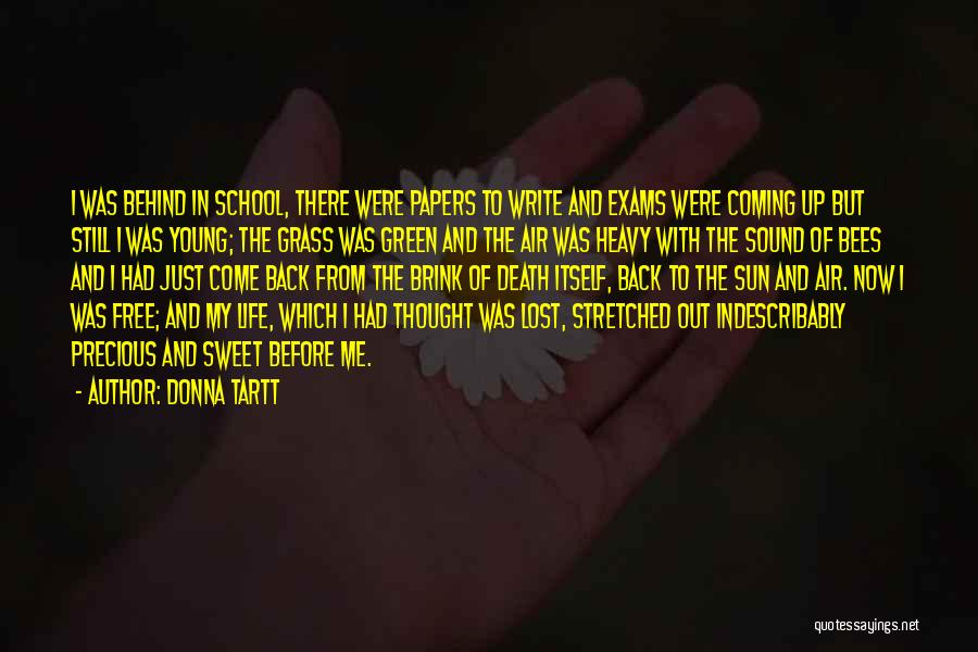 Donna Tartt Quotes: I Was Behind In School, There Were Papers To Write And Exams Were Coming Up But Still I Was Young;