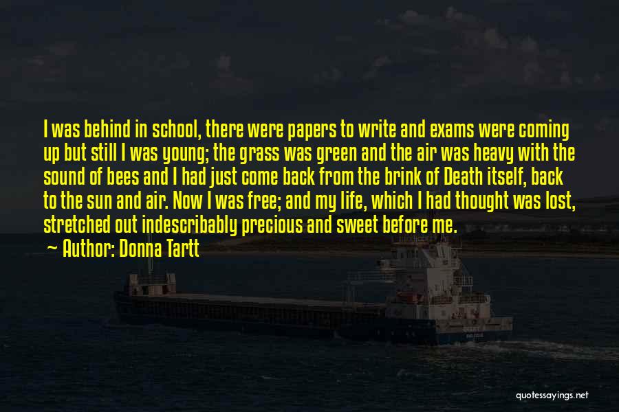 Donna Tartt Quotes: I Was Behind In School, There Were Papers To Write And Exams Were Coming Up But Still I Was Young;