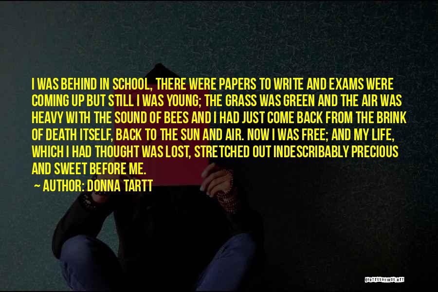 Donna Tartt Quotes: I Was Behind In School, There Were Papers To Write And Exams Were Coming Up But Still I Was Young;