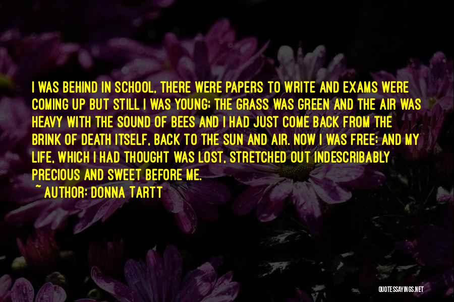 Donna Tartt Quotes: I Was Behind In School, There Were Papers To Write And Exams Were Coming Up But Still I Was Young;