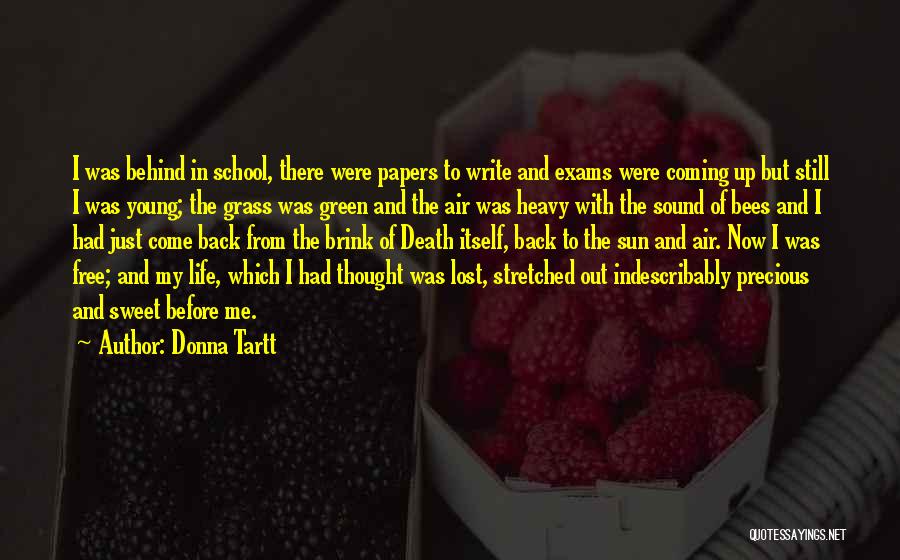 Donna Tartt Quotes: I Was Behind In School, There Were Papers To Write And Exams Were Coming Up But Still I Was Young;