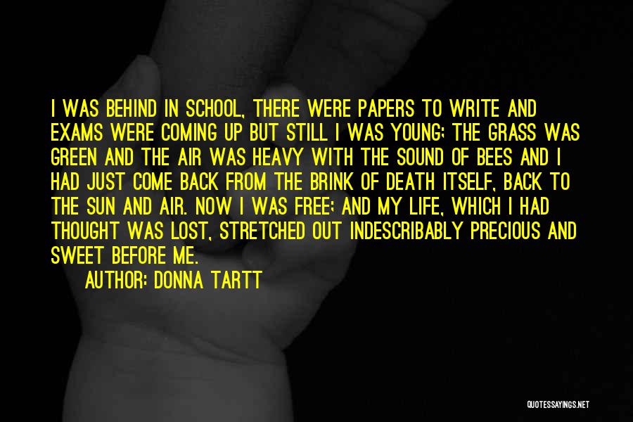 Donna Tartt Quotes: I Was Behind In School, There Were Papers To Write And Exams Were Coming Up But Still I Was Young;