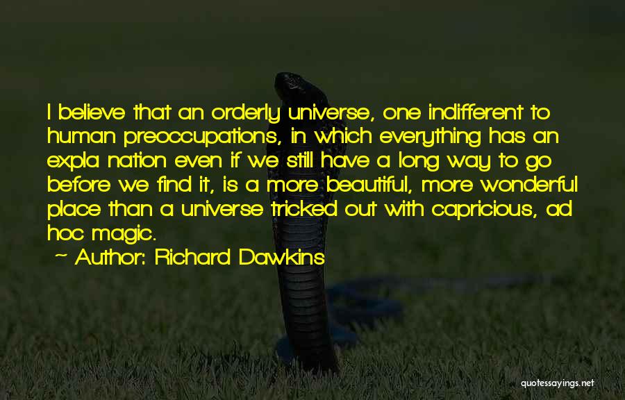 Richard Dawkins Quotes: I Believe That An Orderly Universe, One Indifferent To Human Preoccupations, In Which Everything Has An Expla Nation Even If