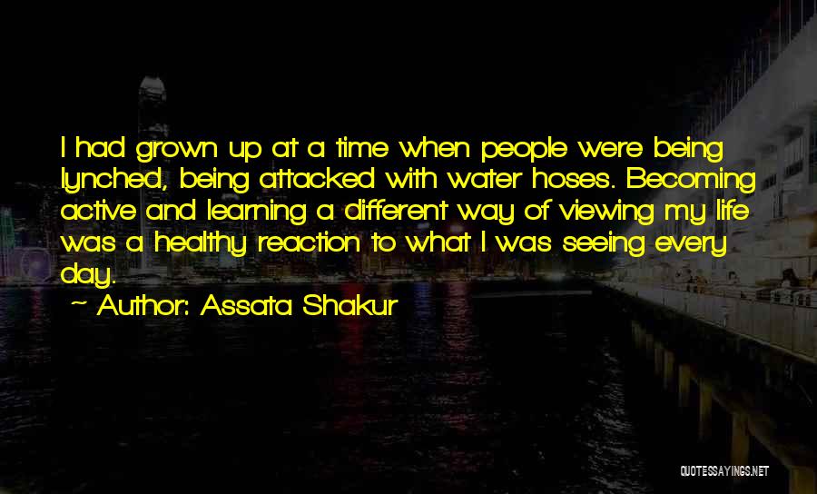 Assata Shakur Quotes: I Had Grown Up At A Time When People Were Being Lynched, Being Attacked With Water Hoses. Becoming Active And