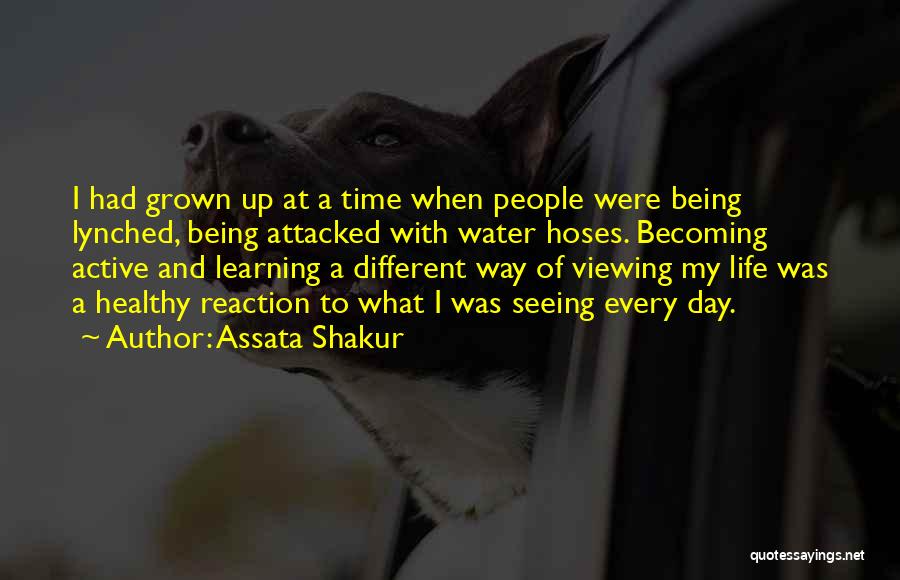 Assata Shakur Quotes: I Had Grown Up At A Time When People Were Being Lynched, Being Attacked With Water Hoses. Becoming Active And