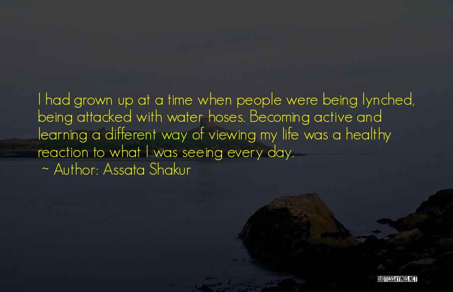 Assata Shakur Quotes: I Had Grown Up At A Time When People Were Being Lynched, Being Attacked With Water Hoses. Becoming Active And