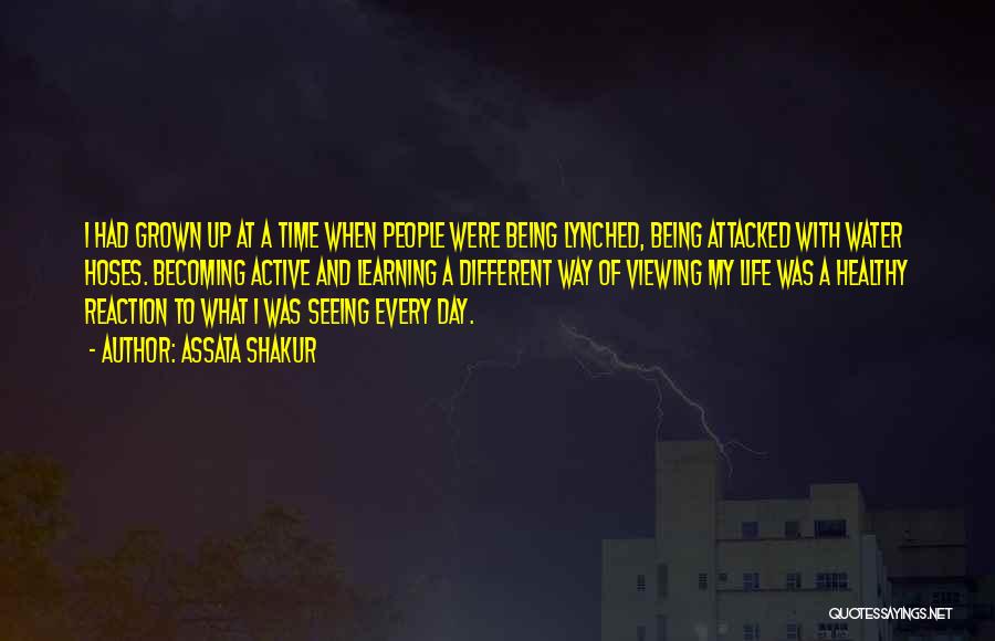 Assata Shakur Quotes: I Had Grown Up At A Time When People Were Being Lynched, Being Attacked With Water Hoses. Becoming Active And