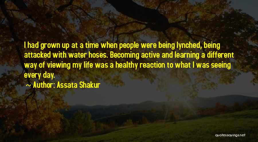 Assata Shakur Quotes: I Had Grown Up At A Time When People Were Being Lynched, Being Attacked With Water Hoses. Becoming Active And
