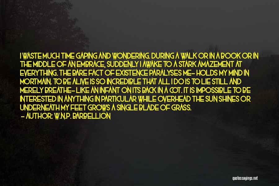 W.N.P. Barbellion Quotes: I Waste Much Time Gaping And Wondering. During A Walk Or In A Book Or In The Middle Of An