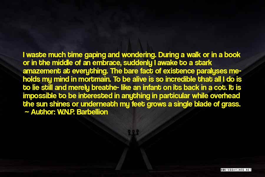 W.N.P. Barbellion Quotes: I Waste Much Time Gaping And Wondering. During A Walk Or In A Book Or In The Middle Of An