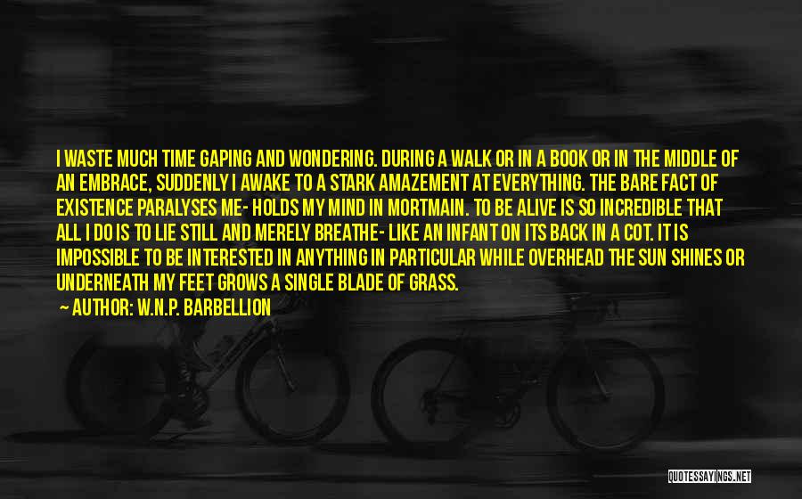 W.N.P. Barbellion Quotes: I Waste Much Time Gaping And Wondering. During A Walk Or In A Book Or In The Middle Of An