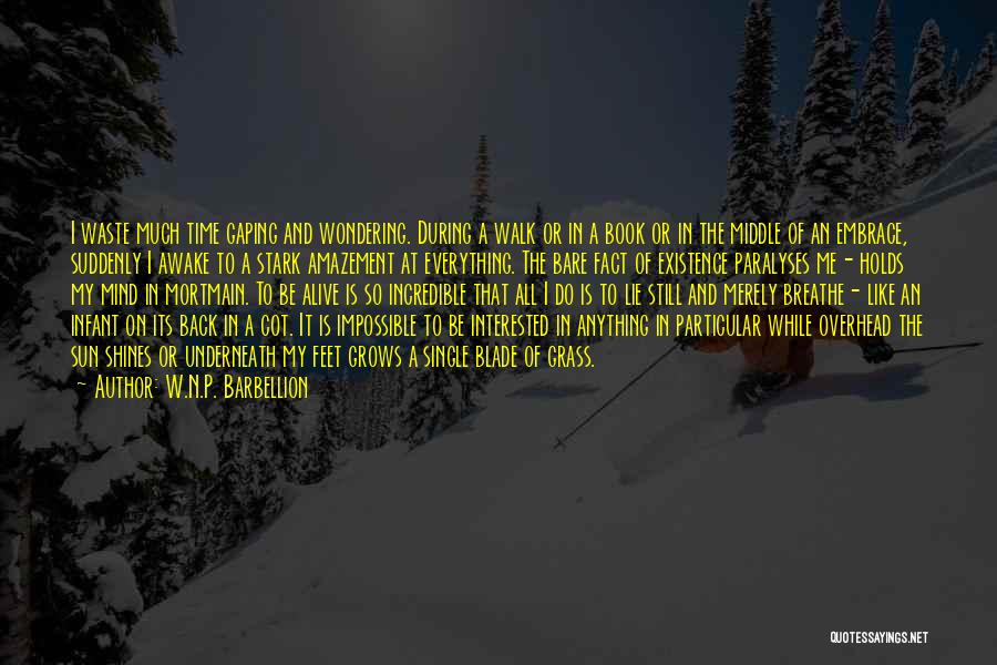 W.N.P. Barbellion Quotes: I Waste Much Time Gaping And Wondering. During A Walk Or In A Book Or In The Middle Of An