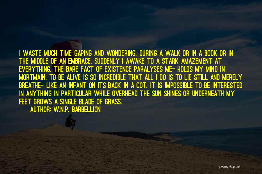 W.N.P. Barbellion Quotes: I Waste Much Time Gaping And Wondering. During A Walk Or In A Book Or In The Middle Of An