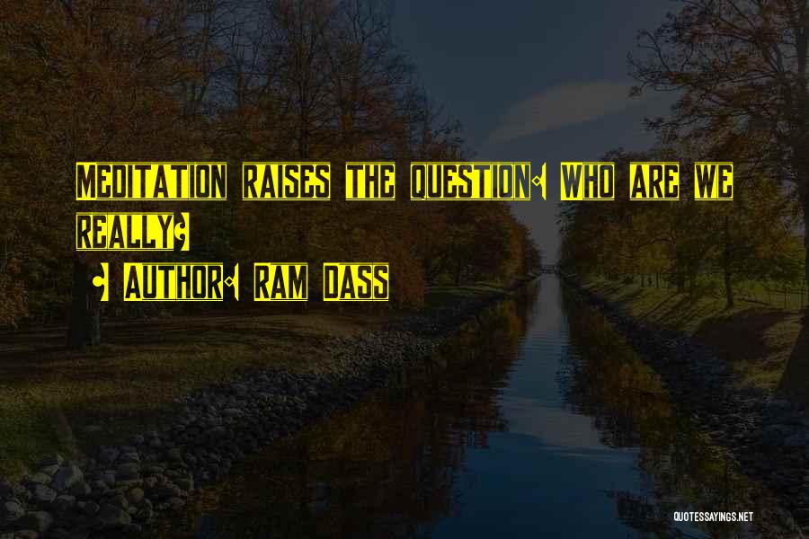 Ram Dass Quotes: Meditation Raises The Question: Who Are We Really?