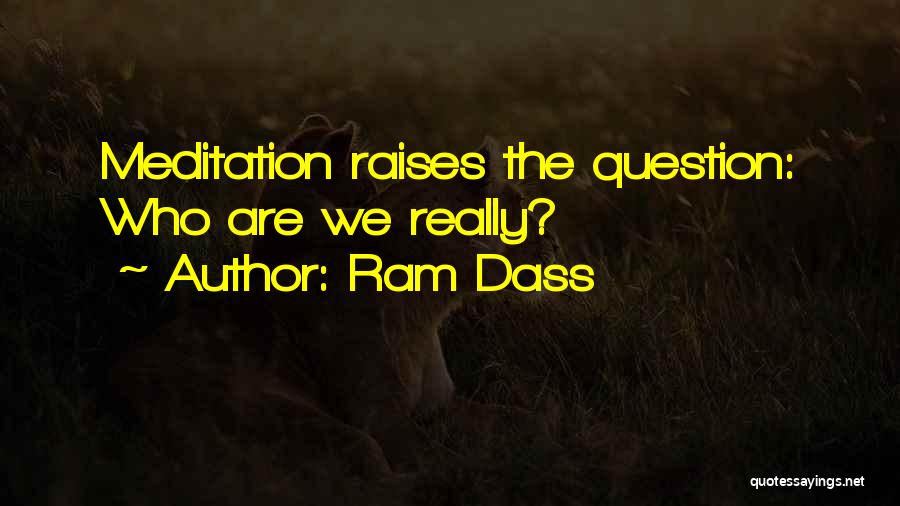 Ram Dass Quotes: Meditation Raises The Question: Who Are We Really?