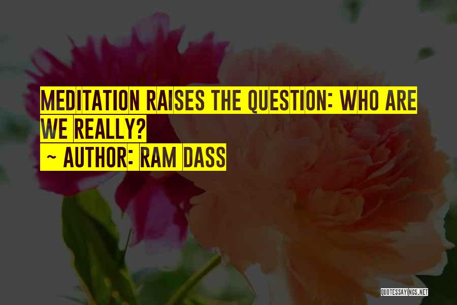 Ram Dass Quotes: Meditation Raises The Question: Who Are We Really?