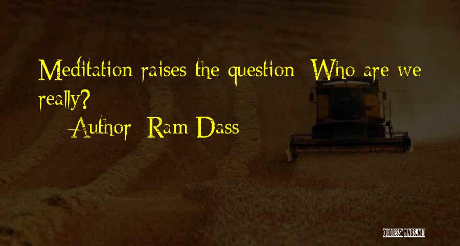 Ram Dass Quotes: Meditation Raises The Question: Who Are We Really?