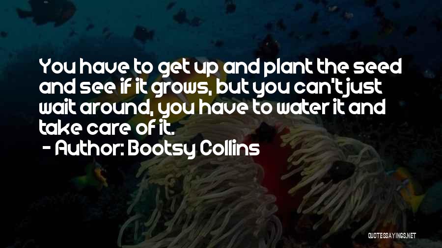 Bootsy Collins Quotes: You Have To Get Up And Plant The Seed And See If It Grows, But You Can't Just Wait Around,