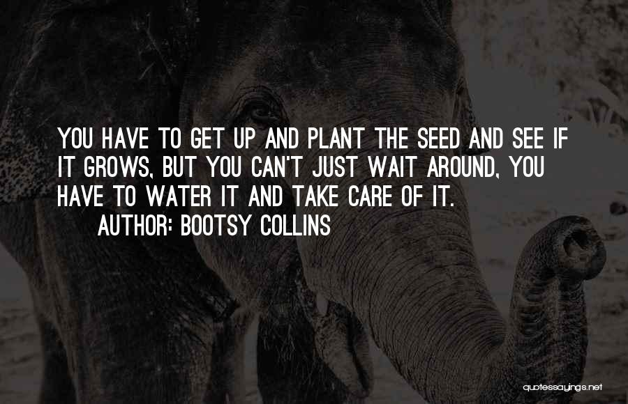 Bootsy Collins Quotes: You Have To Get Up And Plant The Seed And See If It Grows, But You Can't Just Wait Around,