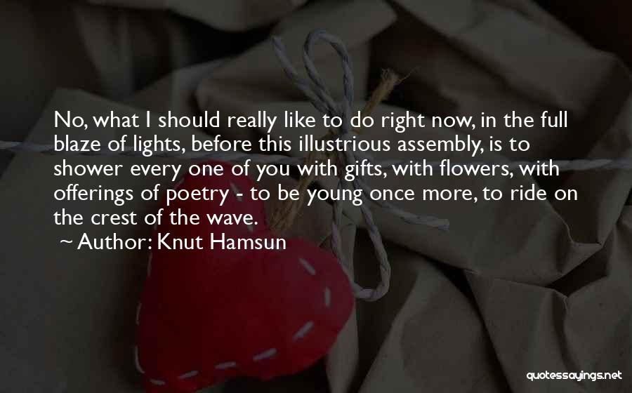 Knut Hamsun Quotes: No, What I Should Really Like To Do Right Now, In The Full Blaze Of Lights, Before This Illustrious Assembly,