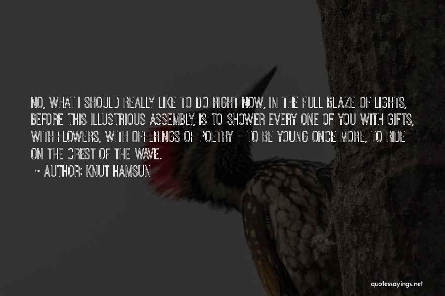 Knut Hamsun Quotes: No, What I Should Really Like To Do Right Now, In The Full Blaze Of Lights, Before This Illustrious Assembly,