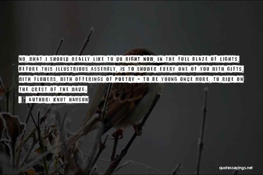 Knut Hamsun Quotes: No, What I Should Really Like To Do Right Now, In The Full Blaze Of Lights, Before This Illustrious Assembly,