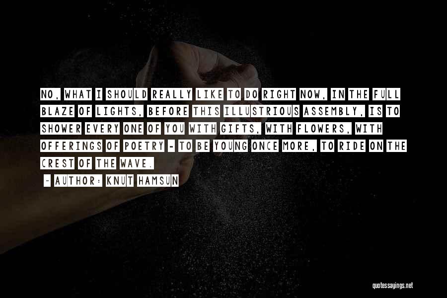 Knut Hamsun Quotes: No, What I Should Really Like To Do Right Now, In The Full Blaze Of Lights, Before This Illustrious Assembly,
