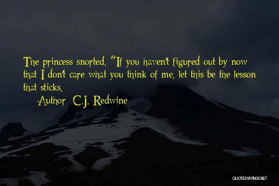 C.J. Redwine Quotes: The Princess Snorted. If You Haven't Figured Out By Now That I Don't Care What You Think Of Me, Let