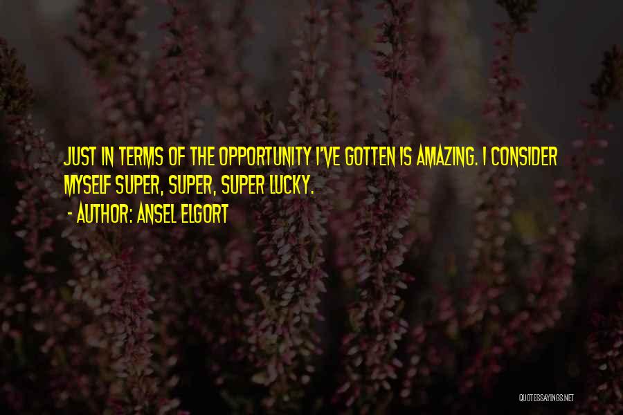 Ansel Elgort Quotes: Just In Terms Of The Opportunity I've Gotten Is Amazing. I Consider Myself Super, Super, Super Lucky.