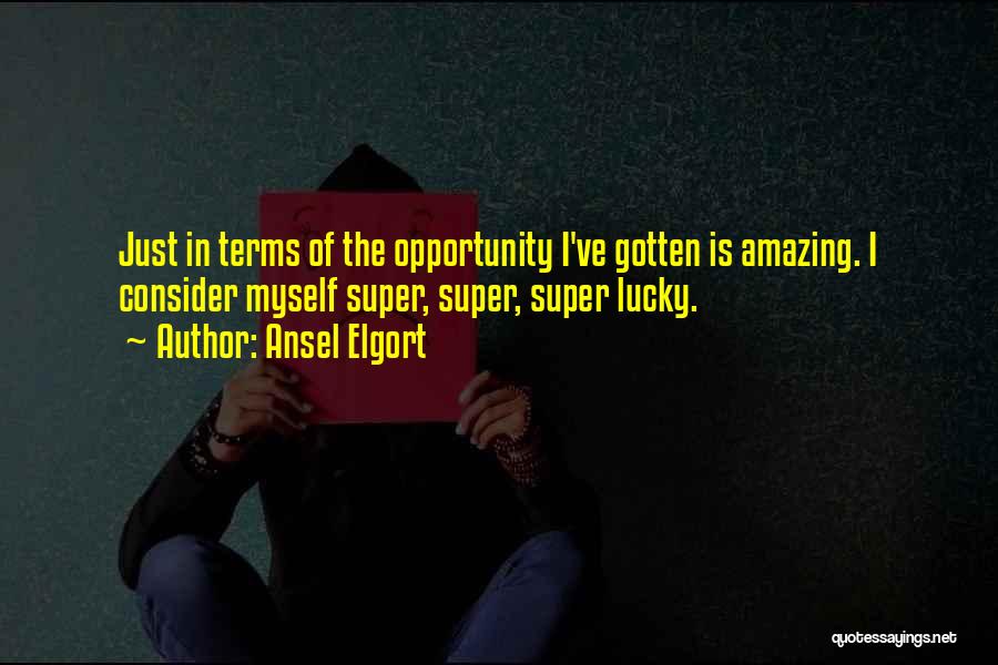 Ansel Elgort Quotes: Just In Terms Of The Opportunity I've Gotten Is Amazing. I Consider Myself Super, Super, Super Lucky.