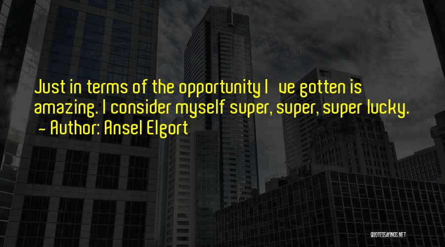 Ansel Elgort Quotes: Just In Terms Of The Opportunity I've Gotten Is Amazing. I Consider Myself Super, Super, Super Lucky.