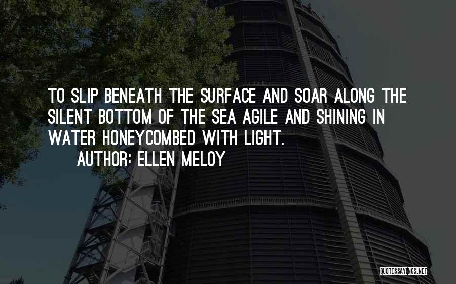 Ellen Meloy Quotes: To Slip Beneath The Surface And Soar Along The Silent Bottom Of The Sea Agile And Shining In Water Honeycombed