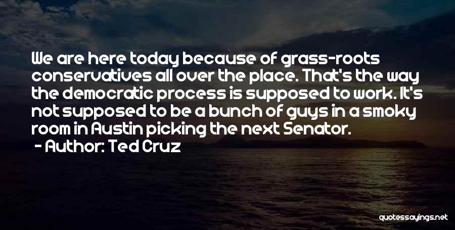 Ted Cruz Quotes: We Are Here Today Because Of Grass-roots Conservatives All Over The Place. That's The Way The Democratic Process Is Supposed