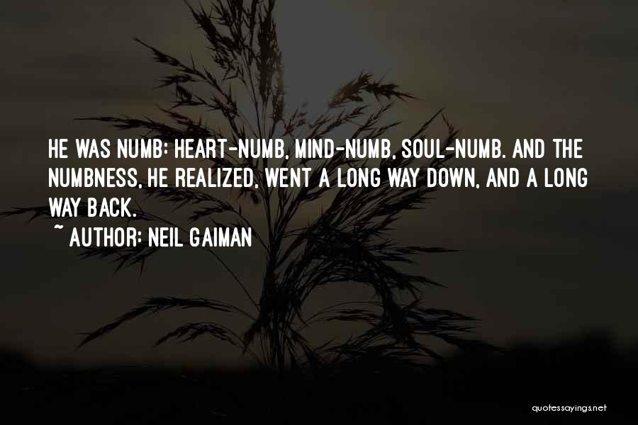 Neil Gaiman Quotes: He Was Numb: Heart-numb, Mind-numb, Soul-numb. And The Numbness, He Realized, Went A Long Way Down, And A Long Way