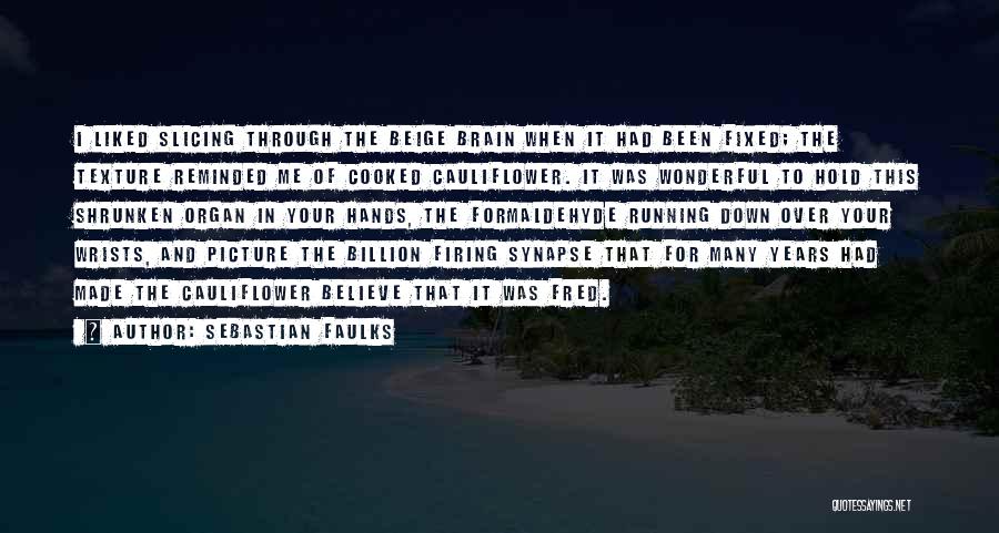 Sebastian Faulks Quotes: I Liked Slicing Through The Beige Brain When It Had Been Fixed; The Texture Reminded Me Of Cooked Cauliflower. It