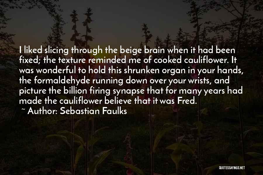 Sebastian Faulks Quotes: I Liked Slicing Through The Beige Brain When It Had Been Fixed; The Texture Reminded Me Of Cooked Cauliflower. It