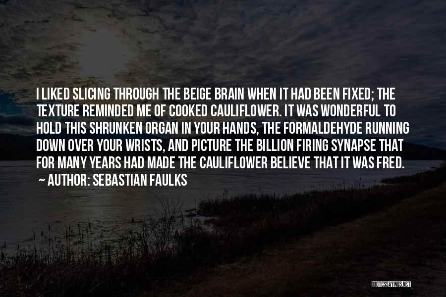 Sebastian Faulks Quotes: I Liked Slicing Through The Beige Brain When It Had Been Fixed; The Texture Reminded Me Of Cooked Cauliflower. It