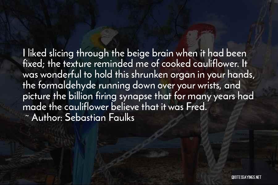 Sebastian Faulks Quotes: I Liked Slicing Through The Beige Brain When It Had Been Fixed; The Texture Reminded Me Of Cooked Cauliflower. It