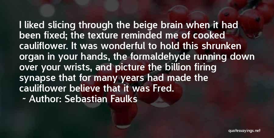 Sebastian Faulks Quotes: I Liked Slicing Through The Beige Brain When It Had Been Fixed; The Texture Reminded Me Of Cooked Cauliflower. It