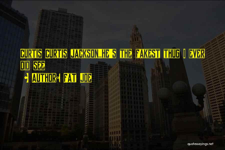 Fat Joe Quotes: Curtis Curtis Jackson..he's The Fakest Thug I Ever Did See