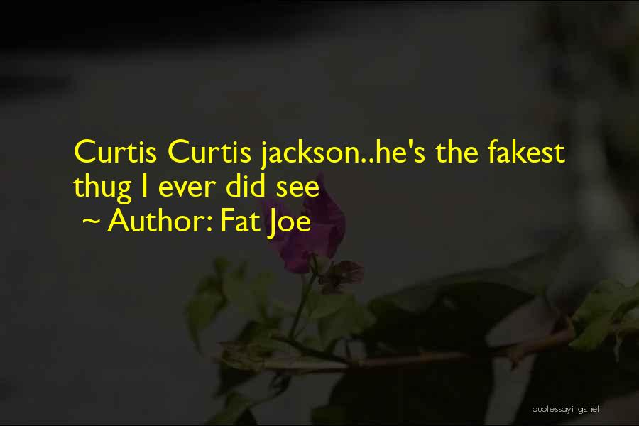 Fat Joe Quotes: Curtis Curtis Jackson..he's The Fakest Thug I Ever Did See