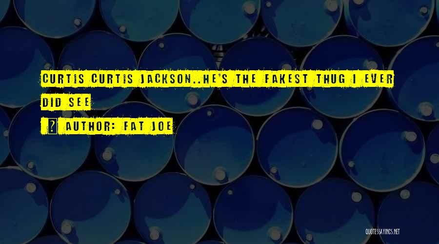 Fat Joe Quotes: Curtis Curtis Jackson..he's The Fakest Thug I Ever Did See