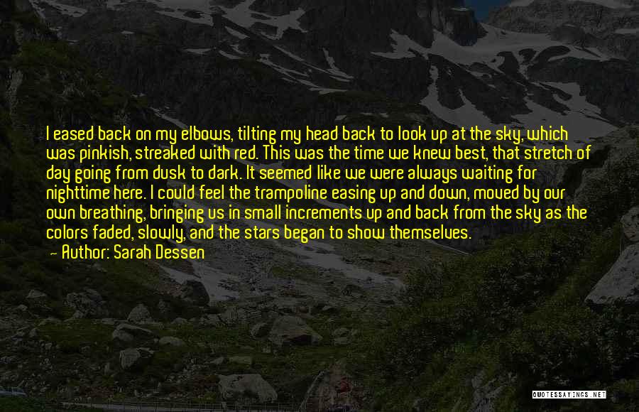 Sarah Dessen Quotes: I Eased Back On My Elbows, Tilting My Head Back To Look Up At The Sky, Which Was Pinkish, Streaked